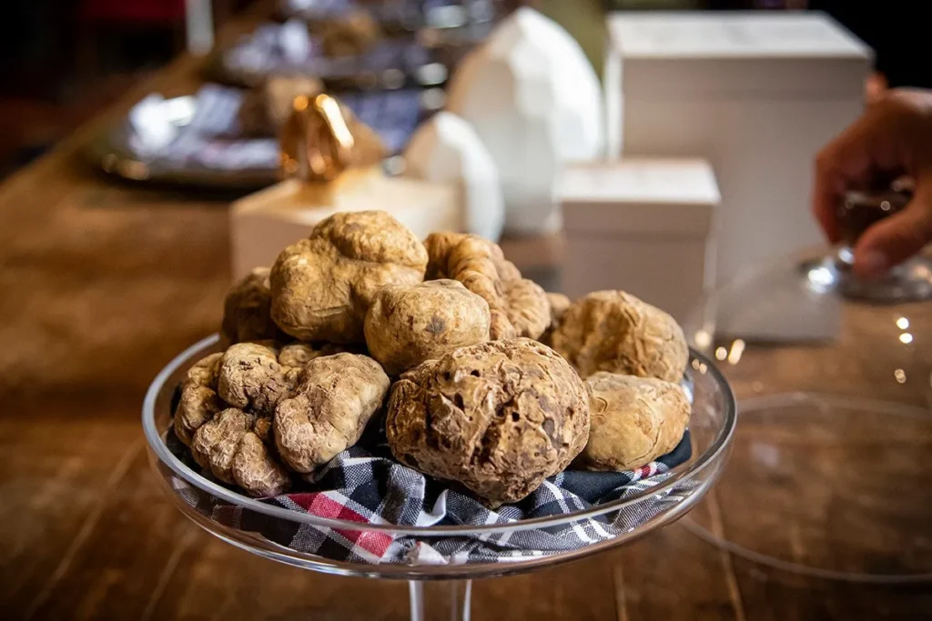 TARTUFO BIANCO