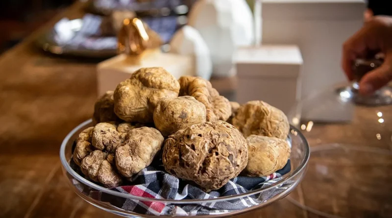 TARTUFO BIANCO