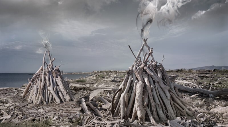 Cataste di legna sulla spiaggia dei Variconi di Raffaela Mariniello